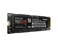 Samsung 250GB 1,8'' Seria 960 EVO M.2 2280 NVMe - 346493 - zdjęcie 3